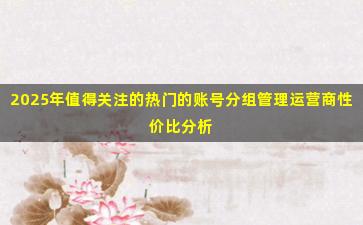 2025年值得关注的热门的账号分组管理运营商性价比分析