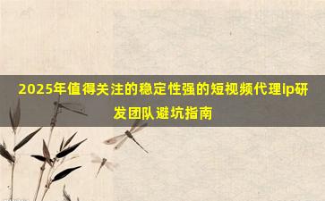 2025年值得关注的稳定性强的短视频代理ip研发团队避坑指南