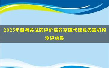 2025年值得关注的评价高的高匿代理服务器机构测评结果