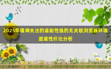 2025年值得关注的适配性强的无关联浏览器环境渠道性价比分析