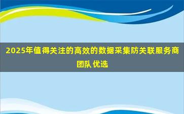 2025年值得关注的高效的数据采集防关联服务商团队优选