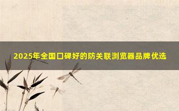 2025年全国口碑好的防关联浏览器品牌优选
