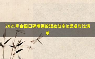 2025年全国口碑爆棚的短效动态ip渠道对比清单