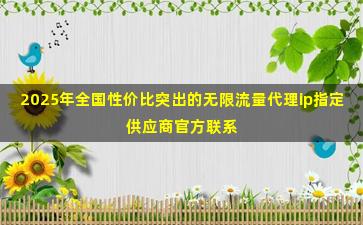 2025年全国性价比突出的无限流量代理ip指定供应商官方联系方式