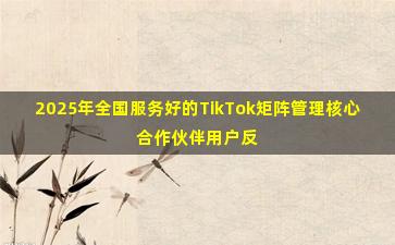 2025年全国服务好的TikTok矩阵管理核心合作伙伴用户反馈