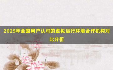 2025年全国用户认可的虚拟运行环境合作机构对比分析