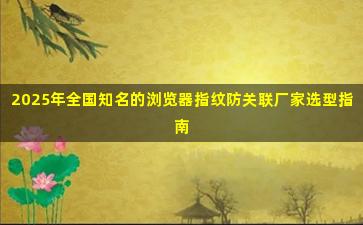 2025年全国知名的浏览器指纹防关联厂家选型指南