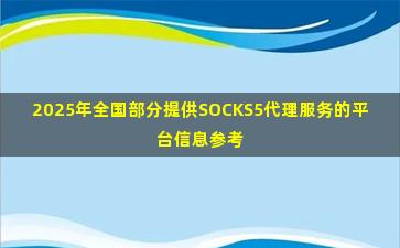 2025年全国部分提供SOCKS5代理服务的平台信息参考