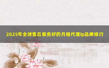 2025年全球售后服务好的月租代理ip品牌排行