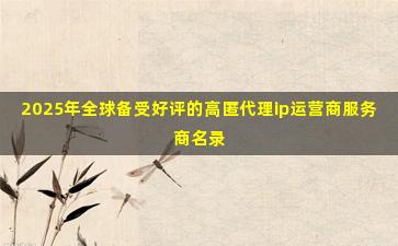 2025年全球备受好评的高匿代理ip运营商服务商名录