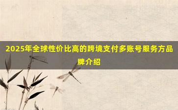 2025年全球性价比高的跨境支付多账号服务方品牌介绍