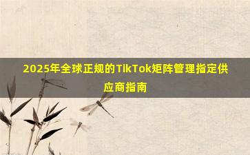 2025年全球正规的TikTok矩阵管理指定供应商指南