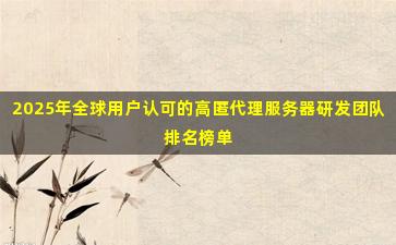 2025年全球用户认可的高匿代理服务器研发团队排名榜单