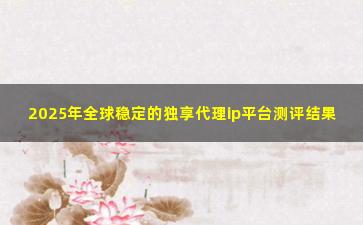 2025年全球稳定的独享代理ip平台测评结果