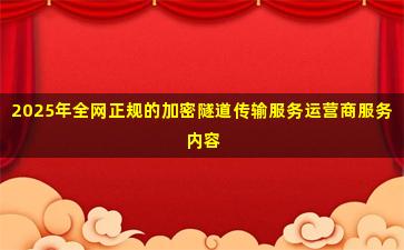 2025年全网正规的加密隧道传输服务运营商服务内容