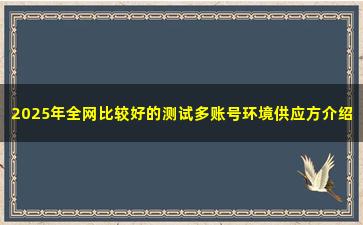 2025年全网比较好的测试多账号环境供应方介绍
