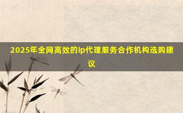 2025年全网高效的ip代理服务合作机构选购建议