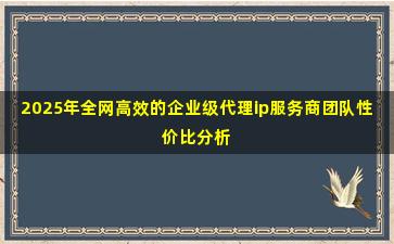 2025年全网高效的企业级代理ip服务商团队性价比分析