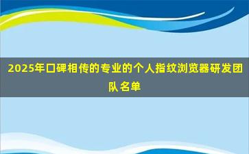 2025年口碑相传的专业的个人指纹浏览器研发团队名单