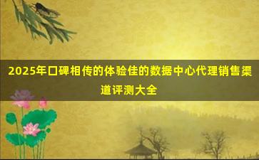 2025年口碑相传的体验佳的数据中心代理销售渠道评测大全