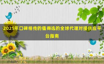 2025年口碑相传的值得选的全球代理对接供应平台指南