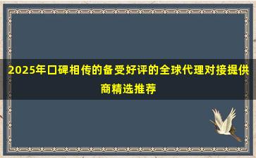 2025年口碑相传的备受好评的全球代理对接提供商精选推荐