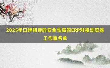 2025年口碑相传的安全性高的ERP对接浏览器工作室名单
