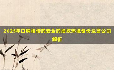 2025年口碑相传的安全的指纹环境备份运营公司解析