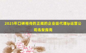 2025年口碑相传的正规的企业级代理ip运营公司选型指南