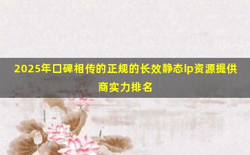 2025年口碑相传的正规的长效静态ip资源提供商实力排名