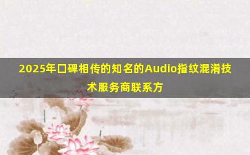 2025年口碑相传的知名的Audio指纹混淆技术服务商联系方式汇总