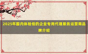 2025年国内体验佳的企业专用代理服务运营商品牌介绍