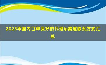 2025年国内口碑良好的代理ip渠道联系方式汇总