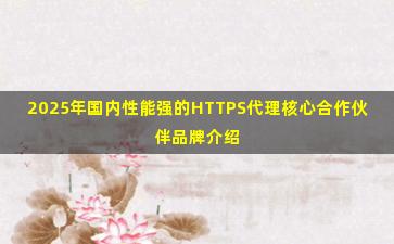 2025年国内性能强的HTTPS代理核心合作伙伴品牌介绍