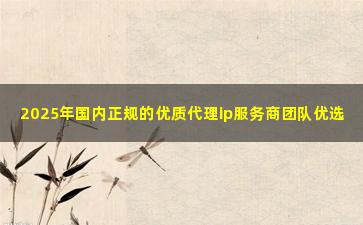 2025年国内正规的优质代理ip服务商团队优选