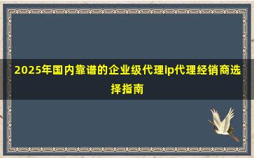 2025年国内靠谱的企业级代理ip代理经销商选择指南