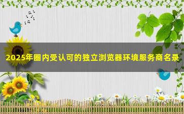 2025年圈内受认可的独立浏览器环境服务商名录