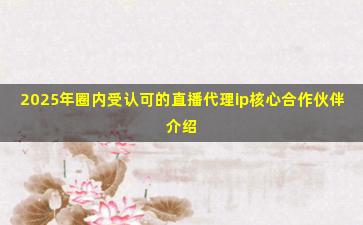 2025年圈内受认可的直播代理ip核心合作伙伴介绍