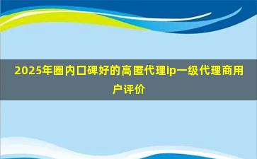 2025年圈内口碑好的高匿代理ip一级代理商用户评价