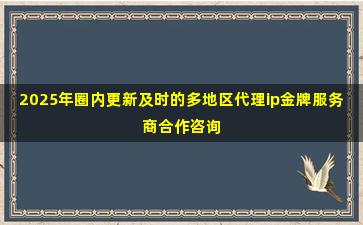 2025年圈内更新及时的多地区代理ip金牌服务商合作咨询