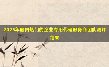 2025年圈内热门的企业专用代理服务商团队测评结果