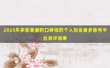 2025年多家靠谱的口碑佳的个人创业者多账号平台测评结果