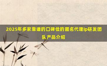 2025年多家靠谱的口碑佳的匿名代理ip研发团队产品介绍