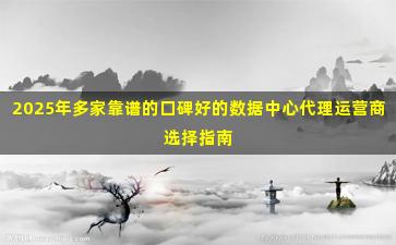 2025年多家靠谱的口碑好的数据中心代理运营商选择指南