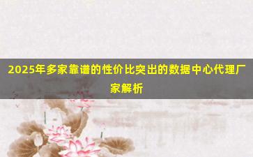 2025年多家靠谱的性价比突出的数据中心代理厂家解析
