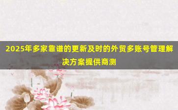 2025年多家靠谱的更新及时的外贸多账号管理解决方案提供商测评结果
