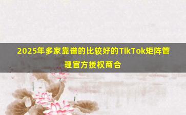 2025年多家靠谱的比较好的TikTok矩阵管理官方授权商合作咨询