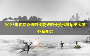 2025年多家靠谱的比较好的长效代理ip技术服务商介绍