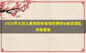 2025年大伙儿推荐的体验佳的静态ip研发团队评测报告