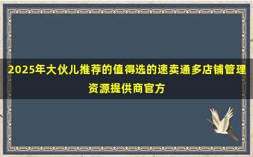 2025年大伙儿推荐的值得选的速卖通多店铺管理资源提供商官方联系方式
